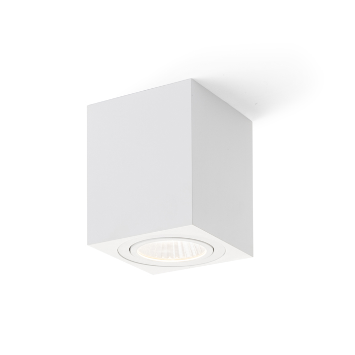 RENDL MAYO SQ stropná výklopná biela 230V/700mA LED 9W 36° 2700K