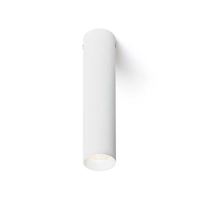 RENDL RIGA 18 stropná biela 230V LED 4W 38° 3000K
