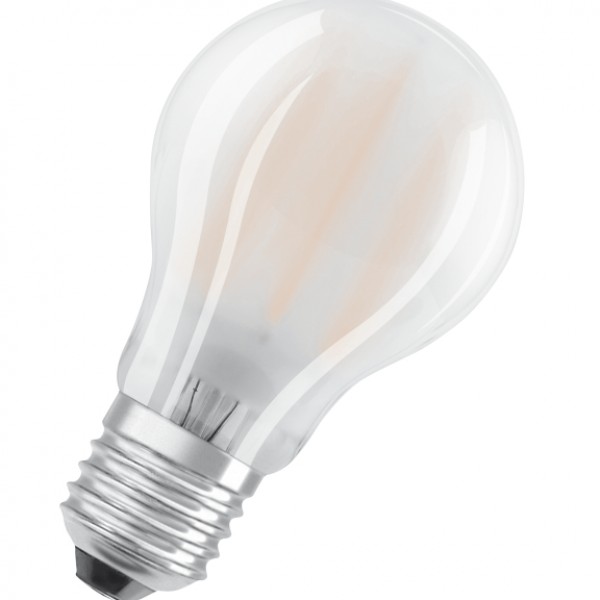 RENDL Glühbirne OSRAM Retrofit Classic A Matt 230V E27 LED EQ100 2700K G13029 1
