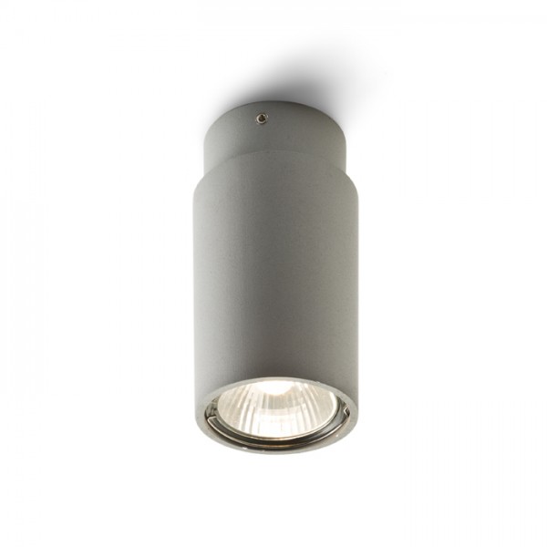 RENDL surface mounted lamp EX GU10 ceiling cylindrical silver grey 230V GU10 50W R10163 1