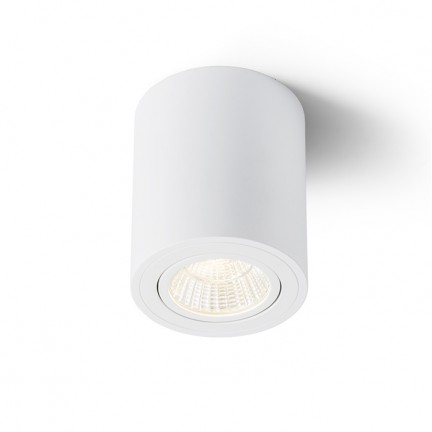 RENDL opbouwlamp MAYO R verstelbare plafondlamp wit 230V LED 9W 36° 2700K R10375 1