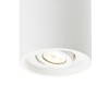 RENDL overflademonteret lampe COLES retningsindstillelig loft gips 230V GU10 15W R10454 2