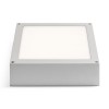 RENDL luminaria de exterior SCOTT de techo gris plata 230V LED 9.8W IP54 3000K R10552 7