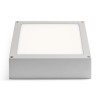 RENDL luminaria de exterior SCOTT de techo gris plata 230V LED 9.8W IP54 3000K R10552 3