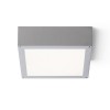 RENDL luminaria de exterior SCOTT de techo gris plata 230V LED 9.8W IP54 3000K R10552 6