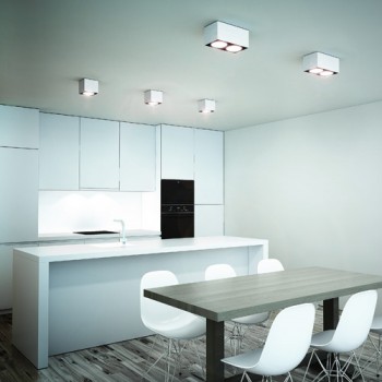 RENDL surface mounted lamp DEAN I brushed aluminum 230V/12V G53 50W R10610 8
