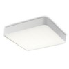 RENDL opbouwlamp MENSA SQ 48 plafondlamp wit 230V LED 56W 3000K R12120 1