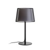 RENDL Stolna svjetiljka ESPLANADE stolna transparentna crna/bijela krom 230V LED E27 15W R12484 12
