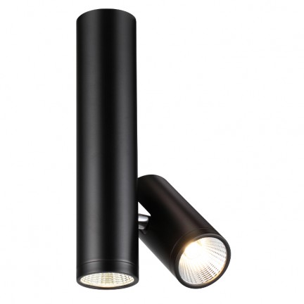 RENDL spot BOGARD TWIN plafonnier noir mat 230V LED 2x5W 40° 3000K R12499 1
