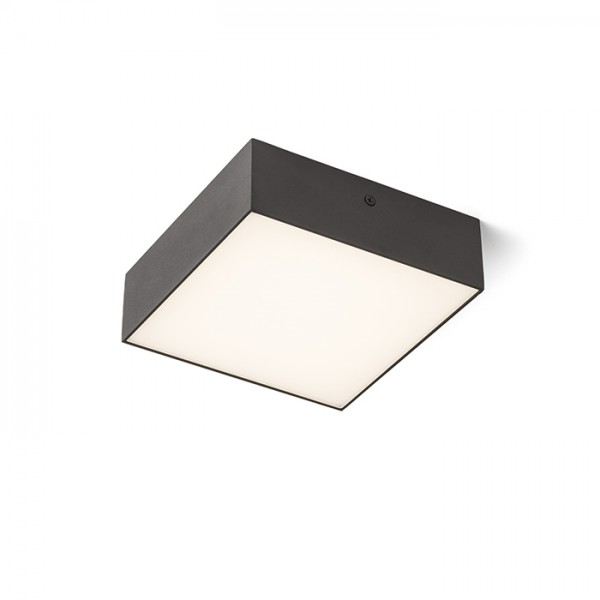 LARISA SQ 17 TAK