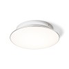 RENDL surface mounted lamp MARA ceiling frosted acrylic/chrome 230V LED 24W 3000K R12894 3