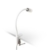 RENDL Stolna svjetiljka FLASH D s držačem ploče bijela 230V LED 3W 60° 3000K R12946 7
