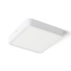 RENDL surface mounted lamp HUE SQ 17 DIMM ceiling white 230V LED 18W 3000K R13083 3