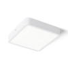RENDL surface mounted lamp HUE SQ 17 DIMM ceiling white 230V LED 18W 3000K R13083 1
