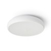 RENDL surface mounted lamp MORGAN 41 DIMM ceiling white 230V LED 36W 3000K R13327 2