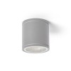 RENDL Vanjska svjetiljka LIZZI stropna srebrno siva 230V GU10 35W IP54 R13506 2