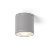 RENDL Vanjska svjetiljka LIZZI stropna srebrno siva 230V GU10 35W IP54 R13506 1