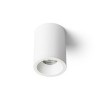 RENDL Montažna svjetiljka EILEEN stropna bijela 230V GU10 35W IP65 R13606 2
