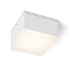 RENDL outdoor lamp ORIN SQ ceiling white satinated acrylic 230V LED 10W IP54 3000K R13628 4