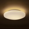 RENDL overflademonteret lampe SARA LED 36 loft opalglas/krom 230V LED 24W IP44 3000K R13688 2