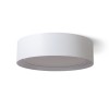 RENDL Montažna svjetiljka OTIS 60 stropna bijela/bijela 230V LED E27 4x15W R13807 2