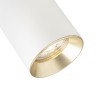 RENDL spotlight DARIO ceiling white brushed brass 230V GU10 9W R13867 4