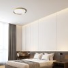 RENDL Deckenleuchte SOLEN 49 Deckenleuchte Gebürstes Messing 230V LED 42W 3000K 4000K 6000K R14310 4